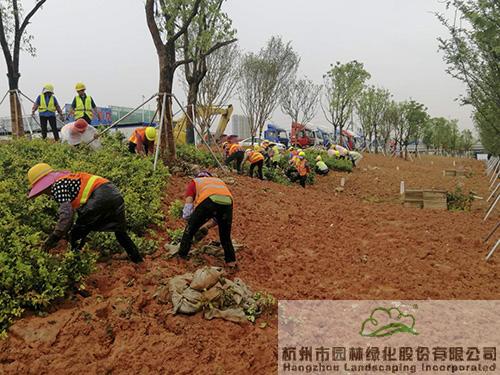 AG尊龙凯时官网(中国游)首页