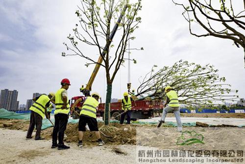 AG尊龙凯时官网(中国游)首页