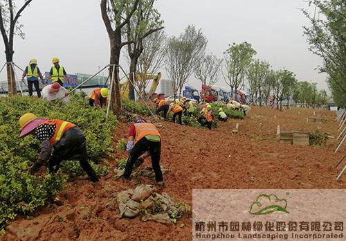 AG尊龙凯时官网(中国游)首页