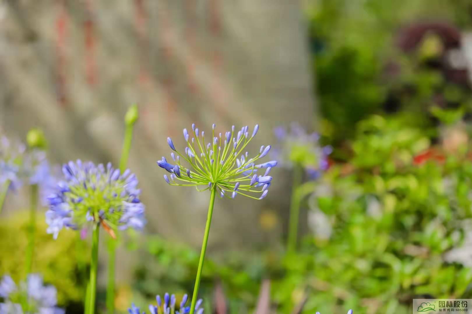 AG尊龙凯时官网(中国游)首页