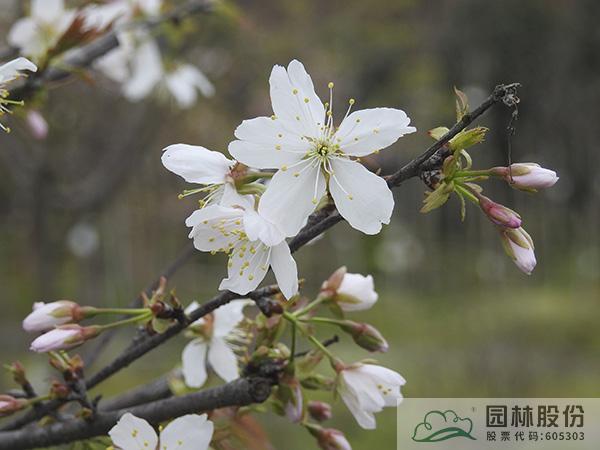 AG尊龙凯时官网(中国游)首页