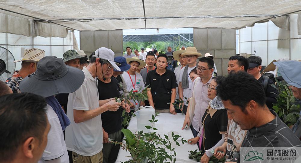 AG尊龙凯时官网(中国游)首页