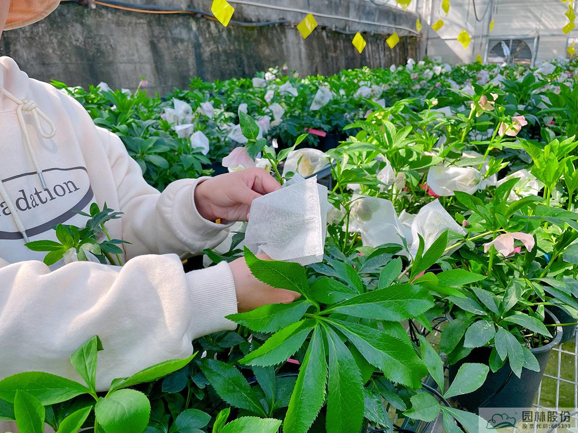 AG尊龙凯时官网(中国游)首页