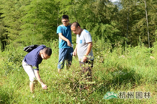 AG尊龙凯时官网(中国游)首页