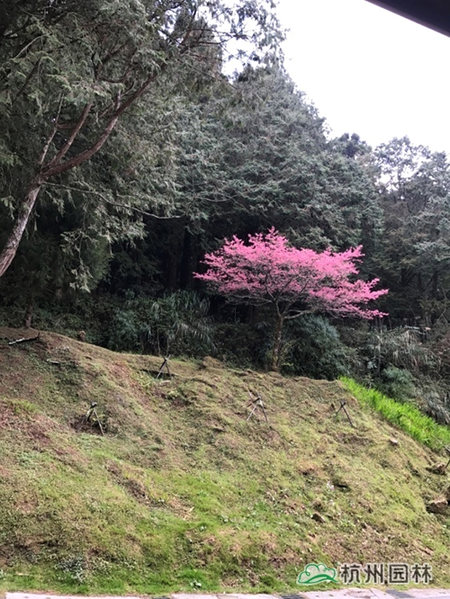 AG尊龙凯时官网(中国游)首页