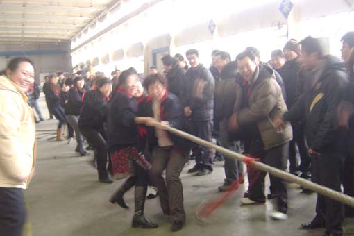 suncitygroup̫�����š�(�й�)��ҳ��¼