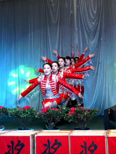 suncitygroup̫�����š�(�й�)��ҳ��¼