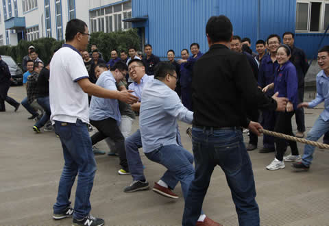 suncitygroup̫�����š�(�й�)��ҳ��¼